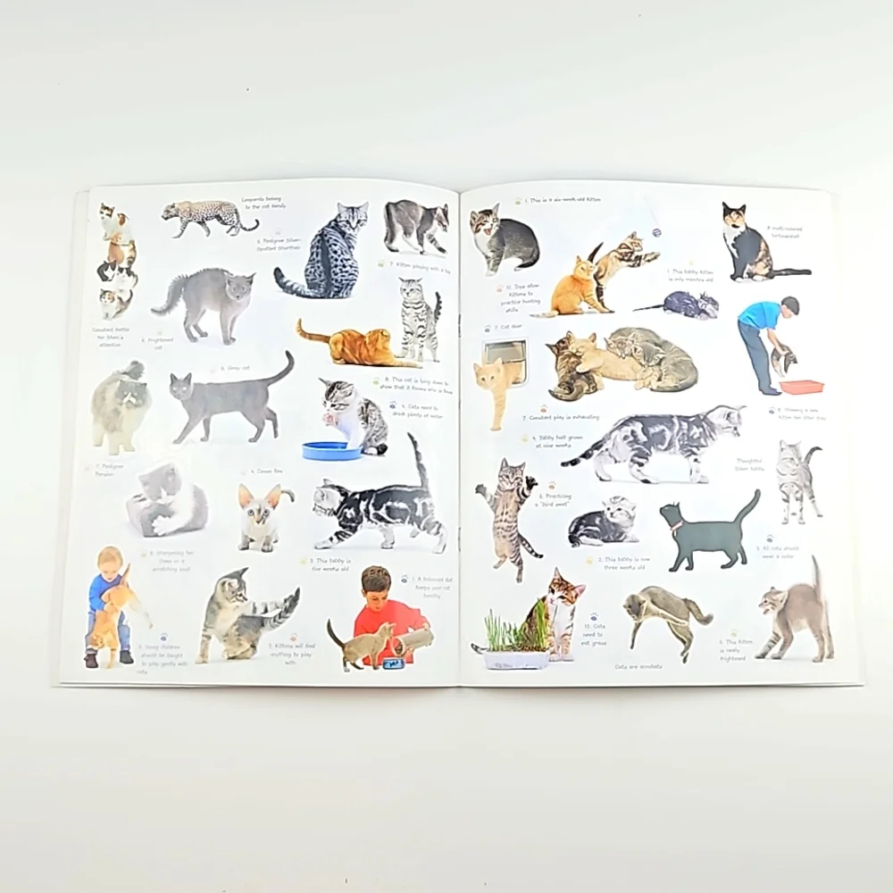 Cats & Kittens Sticker Activity Book